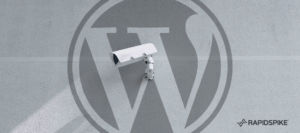 WordPress Security Scanning