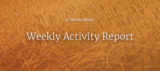 Weekly Activity Report