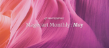 Magecart Monthly: May