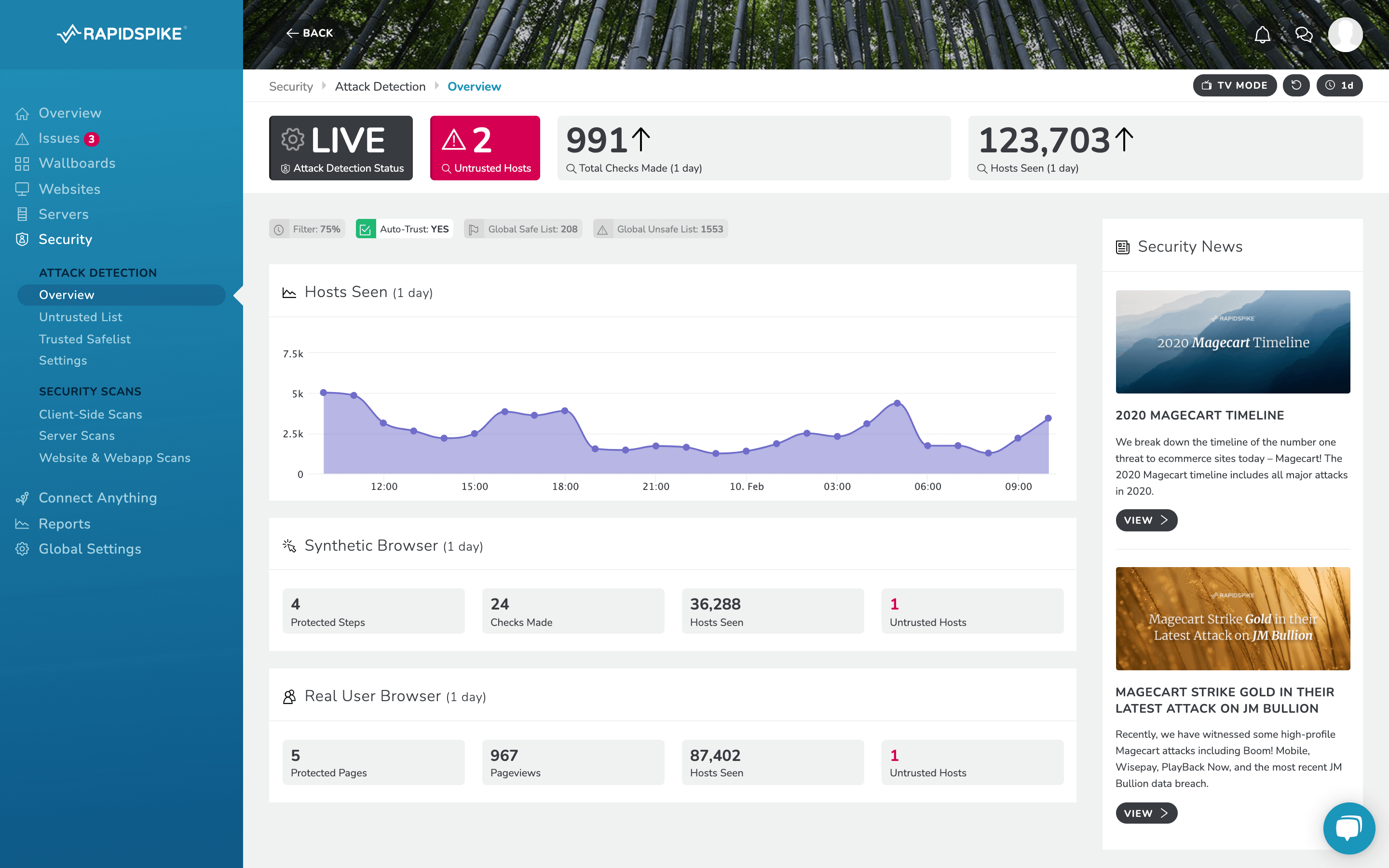 RapidSpike Attack Detection Overview