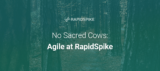 No Sacred Cows: Agile at RapidSpike