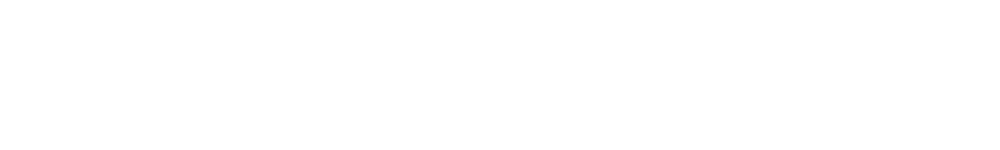RapidSpike Logo